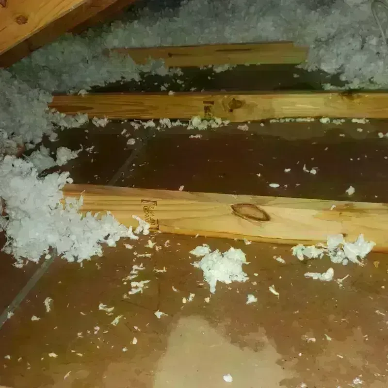 Attic Water Damage in Colorado County, TX