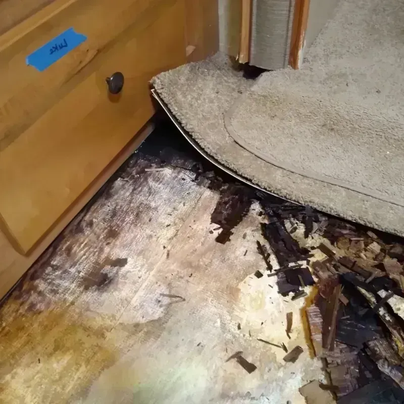 Wood Floor Water Damage in Colorado County, TX